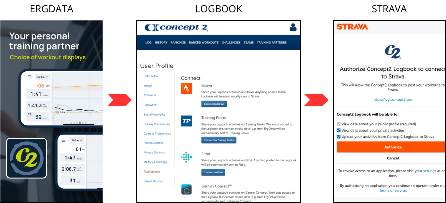 Så synkar du från Skierg till Strava